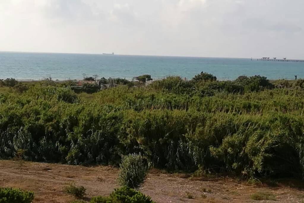 Apartamento Playa Canet Valencia Buitenkant foto